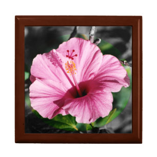Pink Hibiscus Photo Jewelry Box