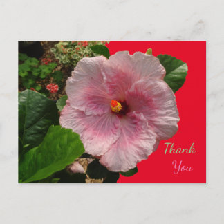 Pink Hibiscus Thank You Postcard