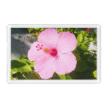 Pink Hibiscus Tropical Flower Acrylic Tray