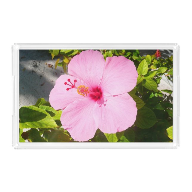 Pink Hibiscus Tropical Flower Acrylic Tray (Front)