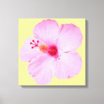 Pink Hibiscus Tropical Flower Canvas Print