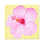 Pink Hibiscus Tropical Flower Canvas Print