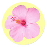 Pink Hibiscus Tropical Flower Classic Round Sticker