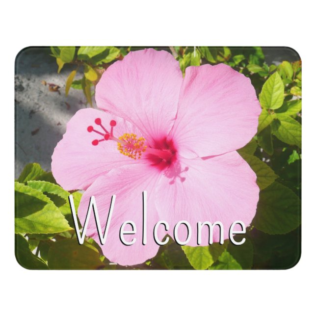 Pink Hibiscus Tropical Flower Door Sign (Contemporary Front)