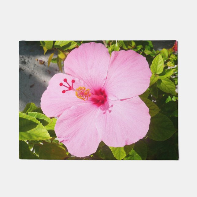 Pink Hibiscus Tropical Flower Doormat (Front)