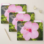 Pink Hibiscus Tropical Flower File Folder