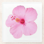 Pink Hibiscus Tropical Flower Glass Coaster