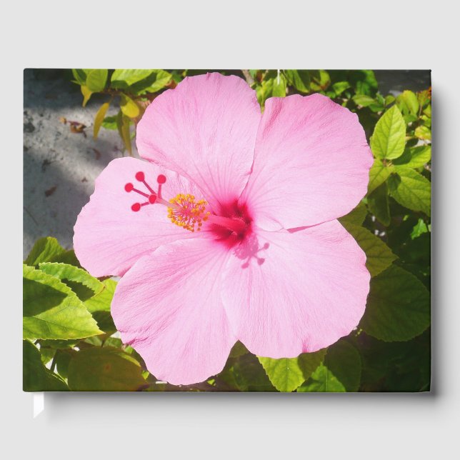 Pink Hibiscus Tropical Flower Guest Book (Front)