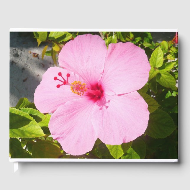 Pink Hibiscus Tropical Flower Guest Book (Front)