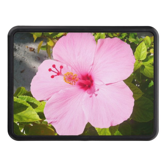 Pink Hibiscus Tropical Flower Hitch Cover (Front)