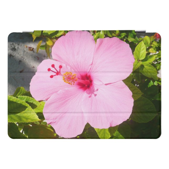 Pink Hibiscus Tropical Flower iPad Pro Cover (Horizontal)