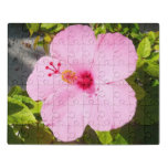 Pink Hibiscus Tropical Flower Jigsaw Puzzle
