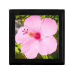 Pink Hibiscus Tropical Flower Keepsake Box