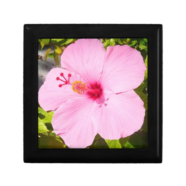 Pink Hibiscus Tropical Flower Keepsake Box (Front)