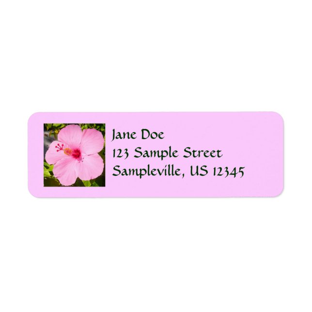 Pink Hibiscus Tropical Flower Label (Front)