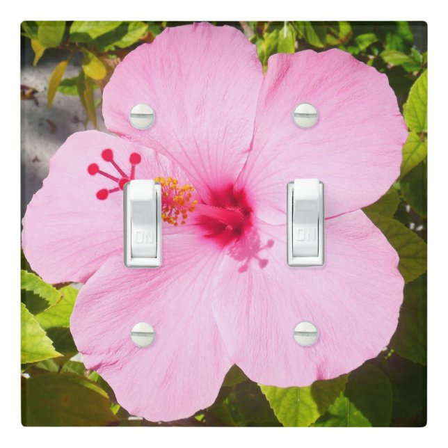 Pink Hibiscus Tropical Flower Light Switch Cover (In Situ)