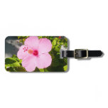 Pink Hibiscus Tropical Flower Luggage Tag