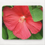 Pink Hibiscus Tropical Flower Mouse Pad