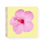 Pink Hibiscus Tropical Flower Notebook