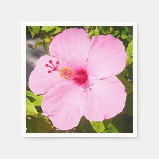 Pink Hibiscus Tropical Flower Paper Napkins (Front)