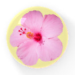 Pink Hibiscus Tropical Flower Paperweight