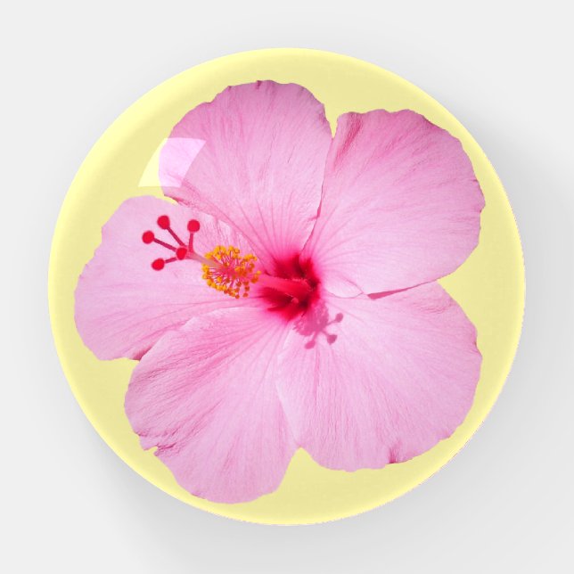 Pink Hibiscus Tropical Flower Paperweight (Front)
