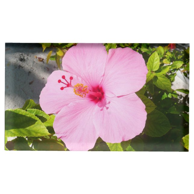 Pink Hibiscus Tropical Flower Place Card Holder (Front)