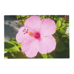 Pink Hibiscus Tropical Flower Placemat