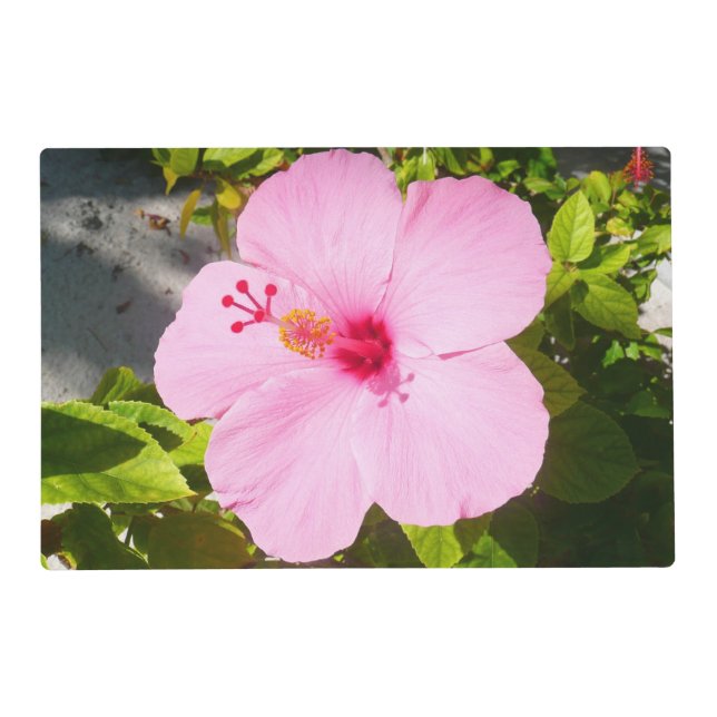 Pink Hibiscus Tropical Flower Placemat (Front)
