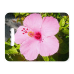 Pink Hibiscus Tropical Flower Seat Cushion