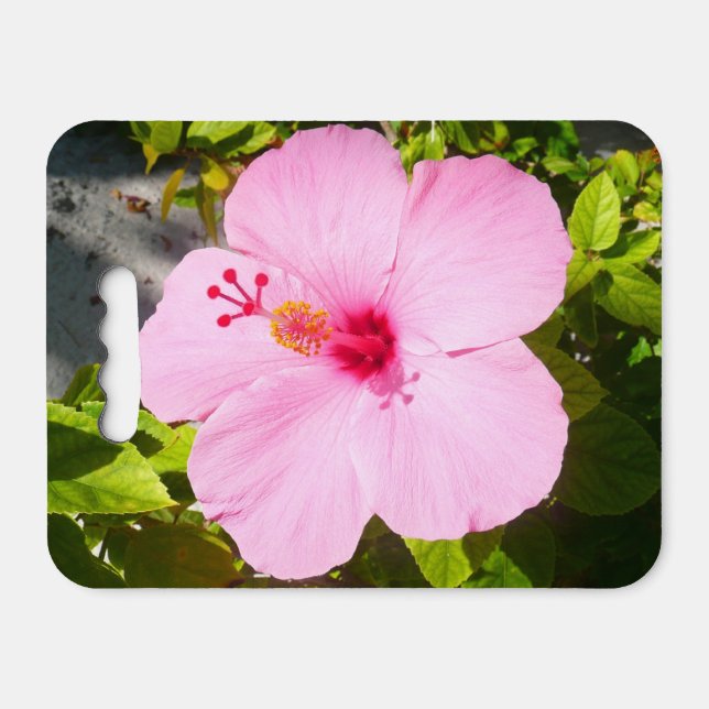 Pink Hibiscus Tropical Flower Seat Cushion (Front Horizontal)
