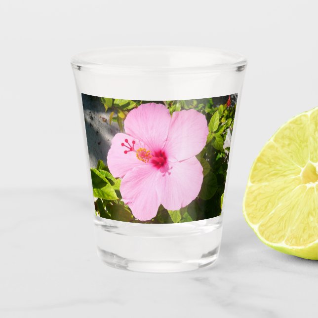 Pink Hibiscus Tropical Flower Shot Glass (Front)