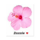 Pink Hibiscus Tropical Flower Sticker