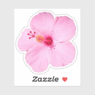 Pink Hibiscus Tropical Flower Sticker