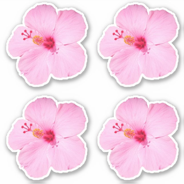 Pink Hibiscus Tropical Flower Sticker (Front)
