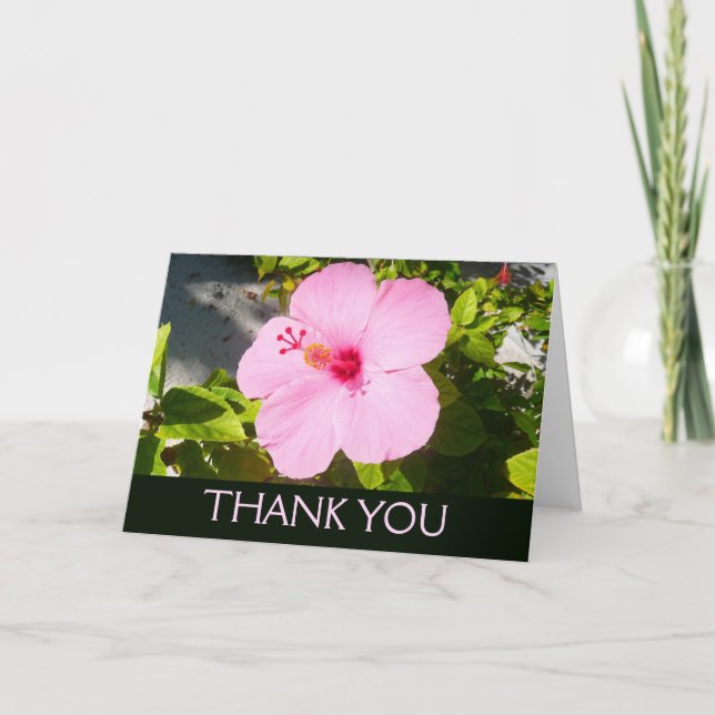 Pink Hibiscus Tropical Flower Thank You Card (Front)