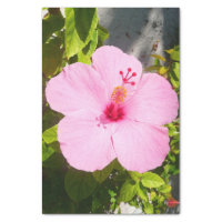 bright red tropical hibiscus flower wrapping paper, Zazzle