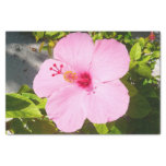 Pink Hibiscus Tropical Flower Tissue Paper
