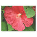 Pink Hibiscus Tropical Flower Tissue Paper