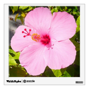 Pink Hibiscus Tropical Flower Wall Decal