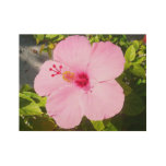 Pink Hibiscus Tropical Flower Wood Poster