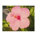 Pink Hibiscus Tropical Flower Wood Wall Decor