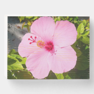 Pink Hibiscus Tropical Flower Wooden Box Sign