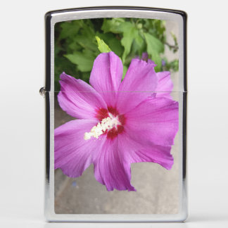 Pink Hollyhock Flower Lighter