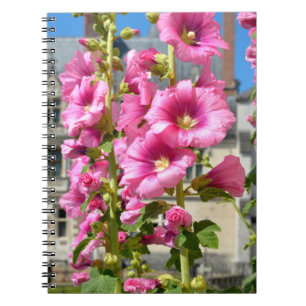 Pink hollyhocks flowers postcard square sticker T- Notebook