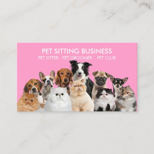 Pink Home Pet Dogs Cats Business Card