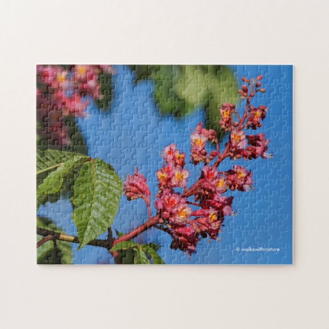 Pink Horse Chestnut Blossoms Jigsaw Puzzle (Horizontal)