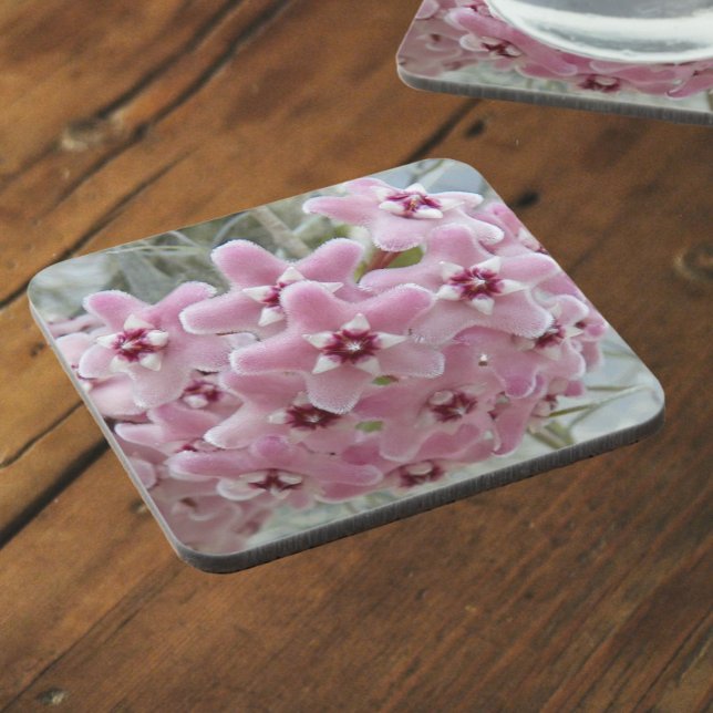 Pink Hoya Plant Flowers Floral Beverage Coaster (In Situ)