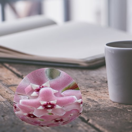 Pink Hoya Plant Flowers Floral Paperweight