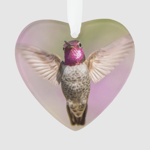 Pink Hummingbird Monogram Name Ornament